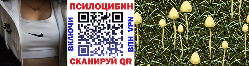 Псилоцибиновые грибы Psilocybine cubensis Оха